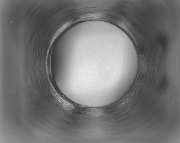 X0000052611090200507081840