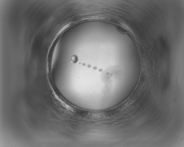 X0000052611095200507081840