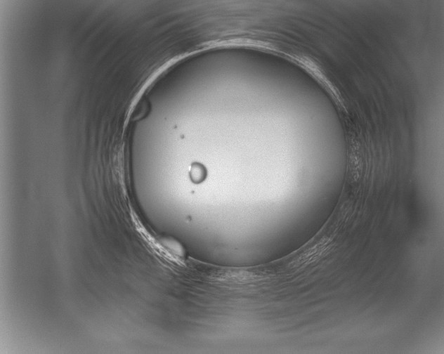 X0000052611100200507081840