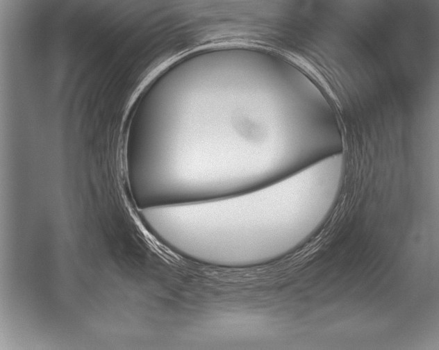 X0000052611101200507081840