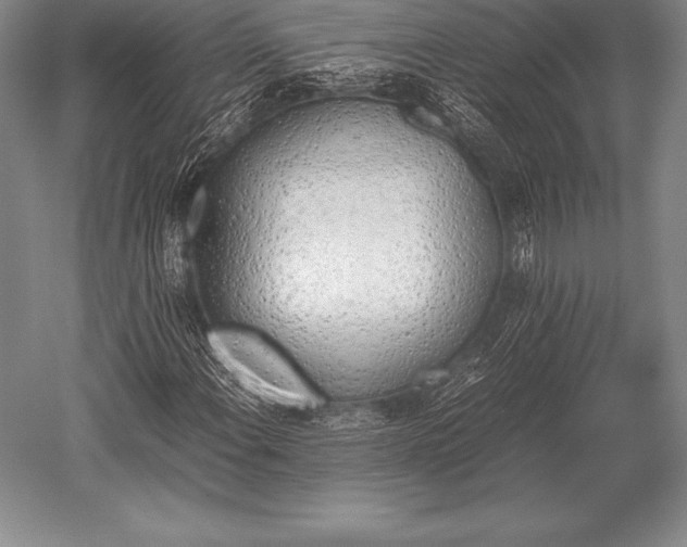 X0000052611108200507081839