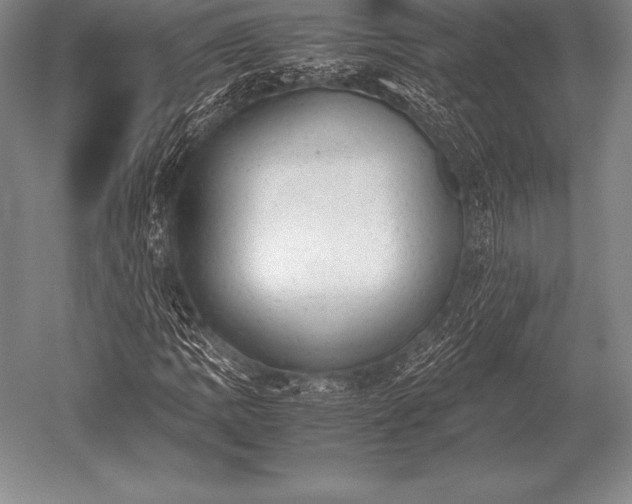 X0000052611109200507081839