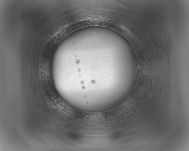 X0000052611110200507081839