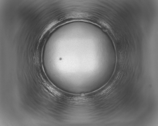 X0000052611114200507081839