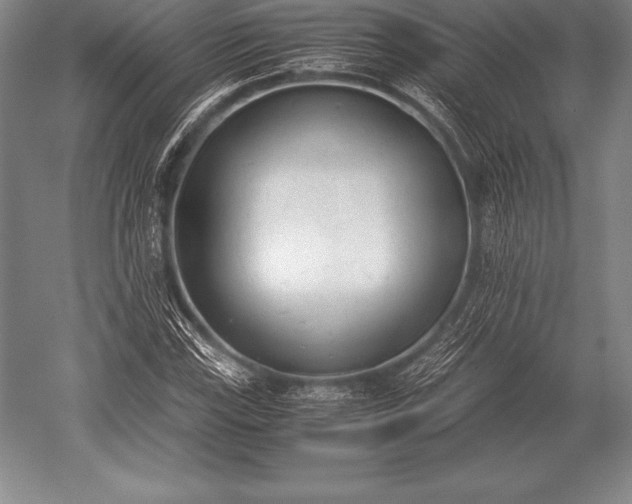 X0000052611115200507081839