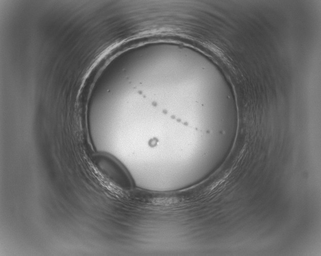 X0000052611118200507081839