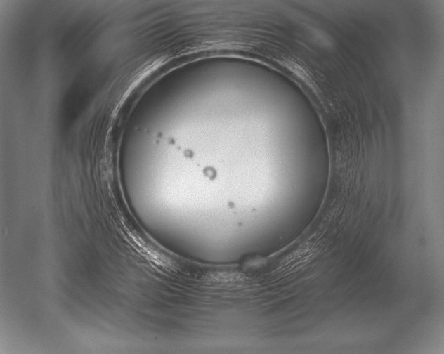 X0000052611119200507081839