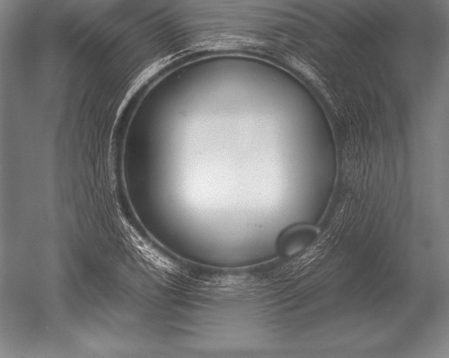 X0000052611122200507081839