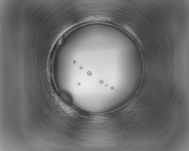 X0000052611124200507081839