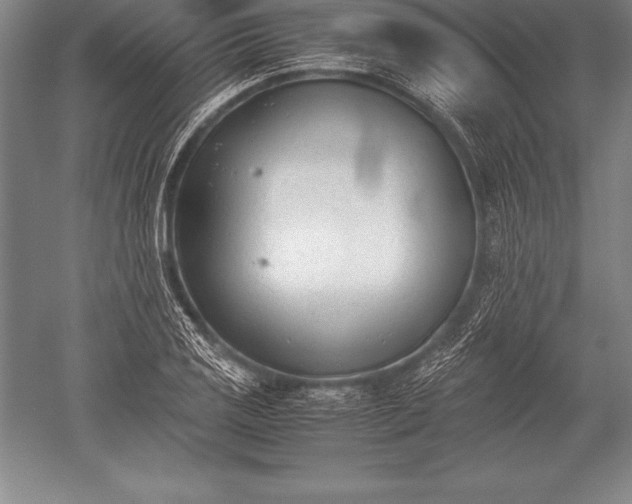 X0000052611125200507081839