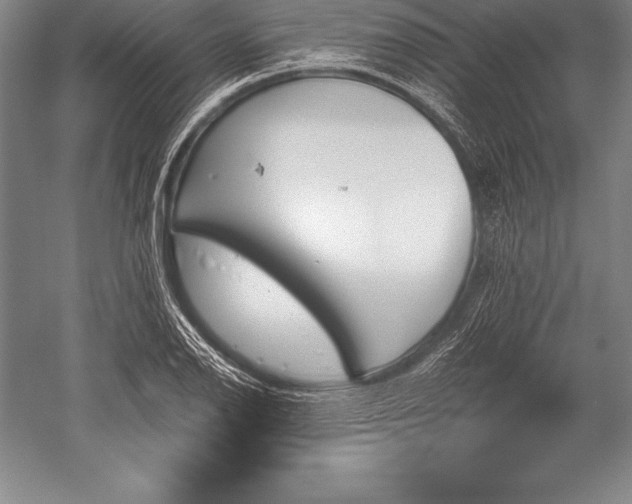 X0000052611126200507081839