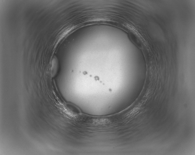 X0000052611129200507081839