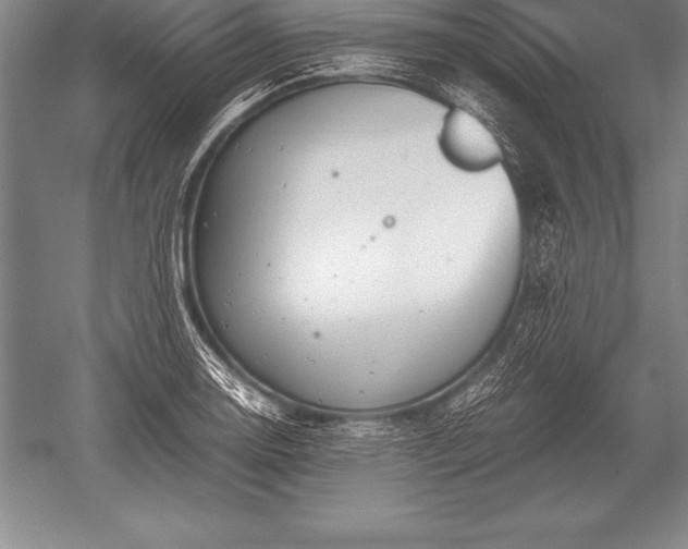 X0000052611130200507081839