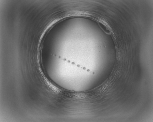 X0000052611136200507081839