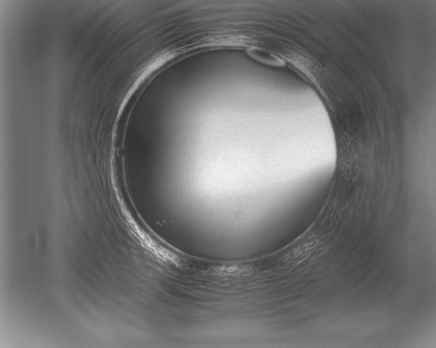 X0000052611139200507081839