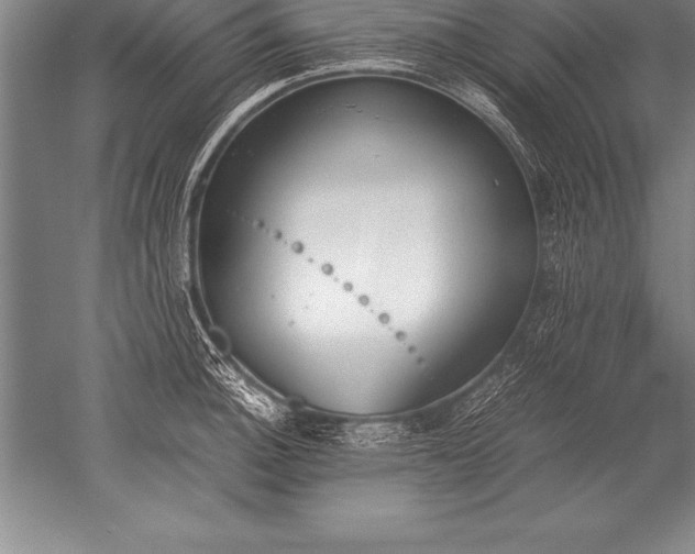 X0000052611140200507081839