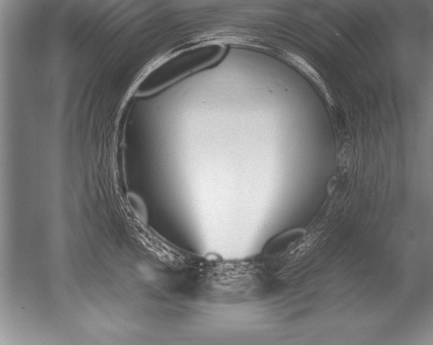 X0000052611146200507081840