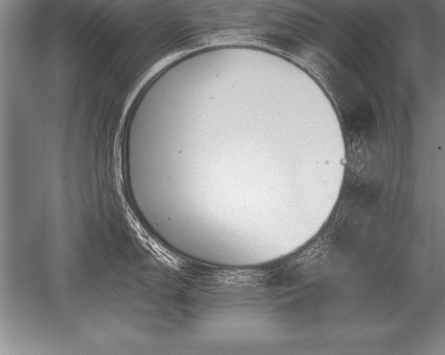 X0000052611150200507081840