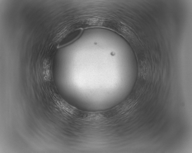 X0000052611154200507081839