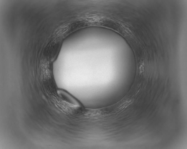 X0000052611156200507081839