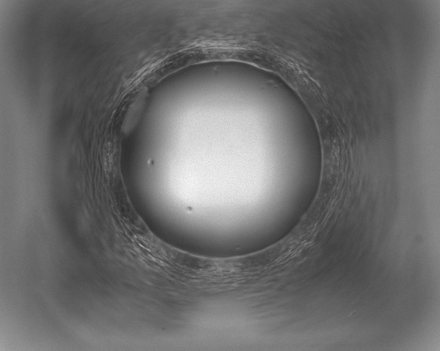 X0000052611157200507081839