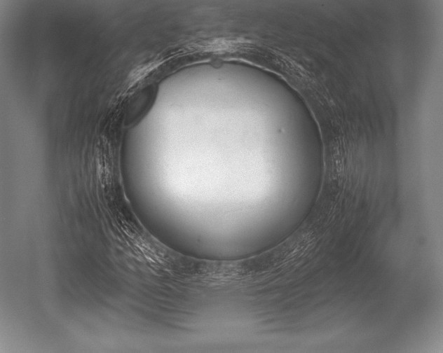 X0000052611158200507081839