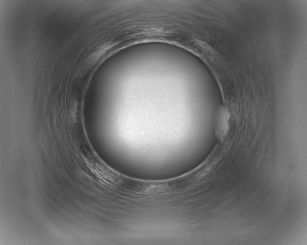 X0000052611161200507081839