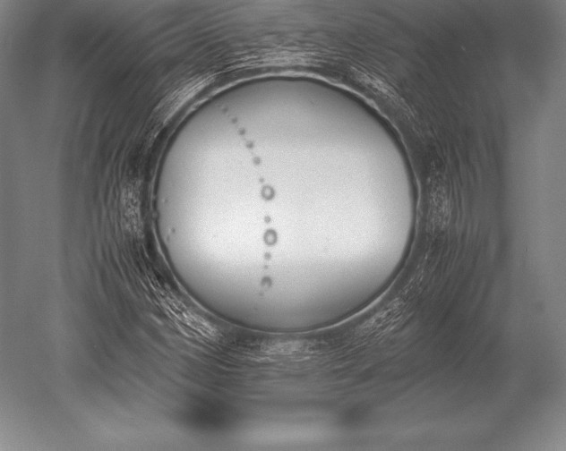 X0000052611162200507081839