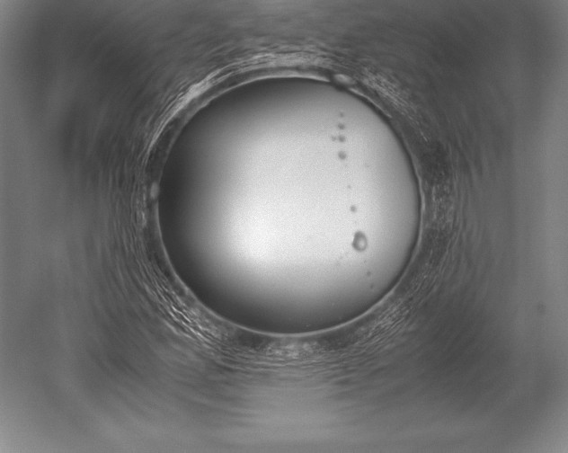 X0000052611165200507081839