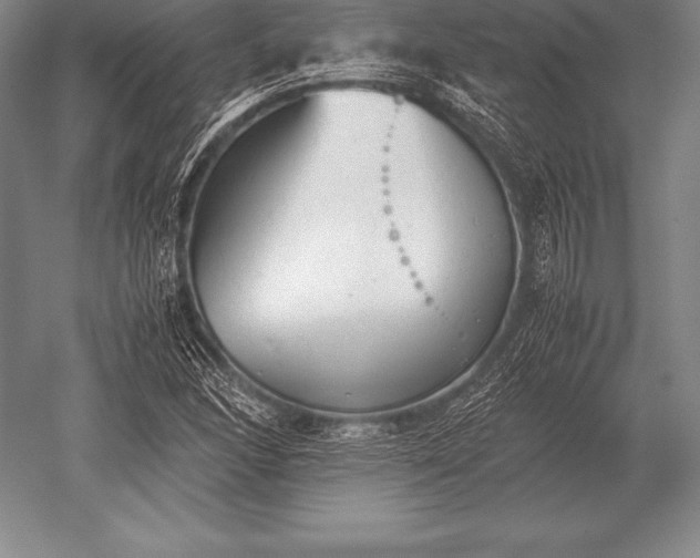 X0000052611166200507081839