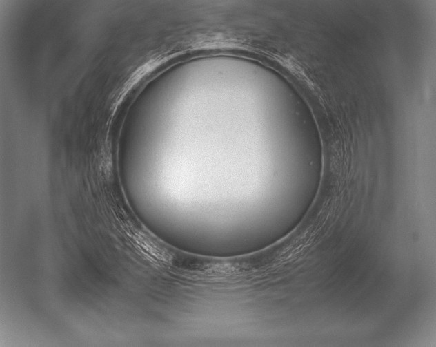 X0000052611167200507081839