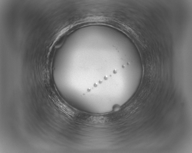 X0000052611168200507081839