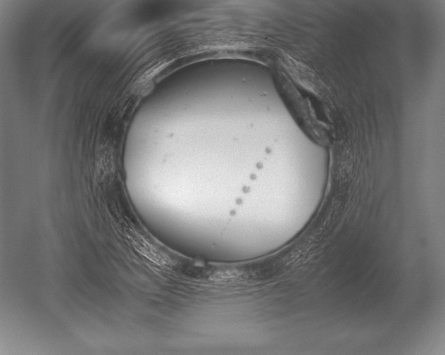 X0000052611169200507081839