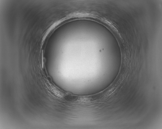 X0000052611175200507081838