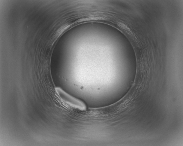 X0000052611177200507081838