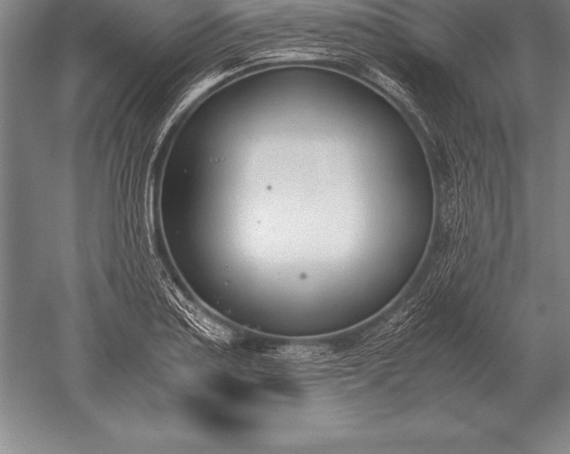 X0000052611179200507081838