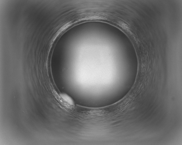 X0000052611181200507081838