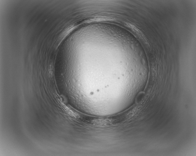 X0000052611185200507081838