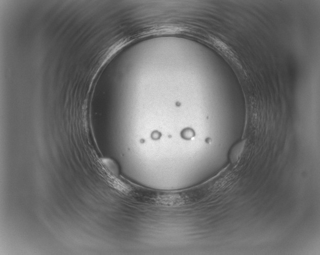 X0000052611186200507081838