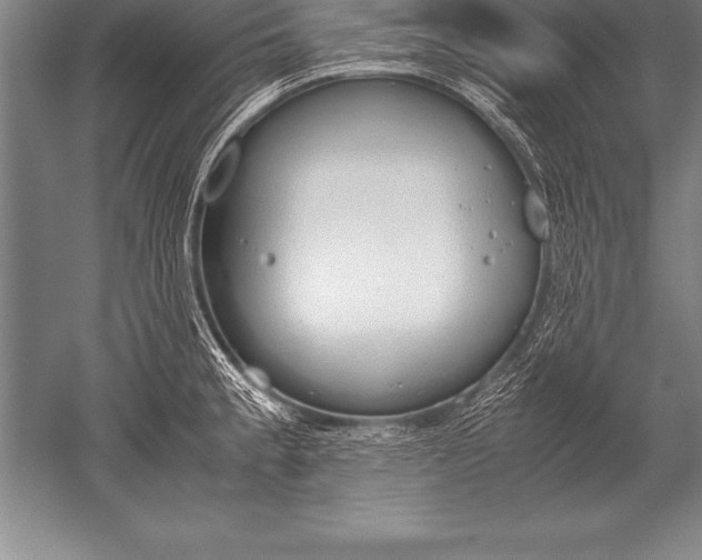 X0000052611189200507081838