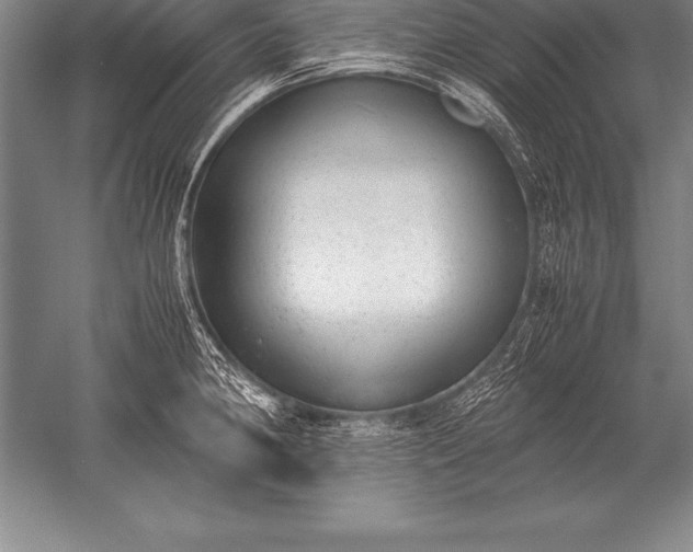 X0000052611190200507081838