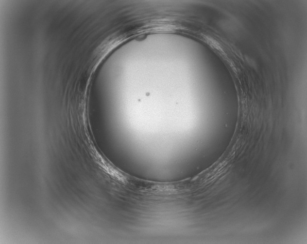 X0000052611194200507081838