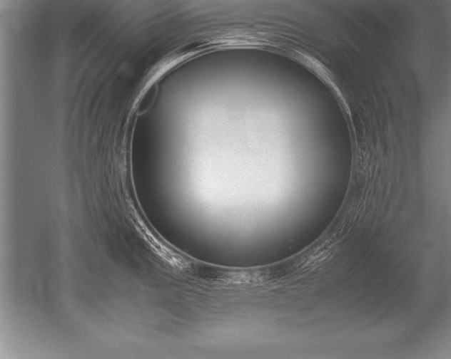 X0000052611195200507081838