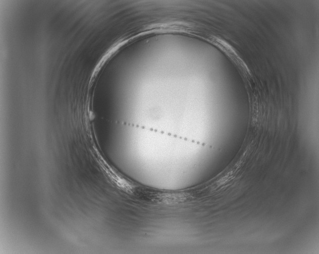 X0000052611196200507081838