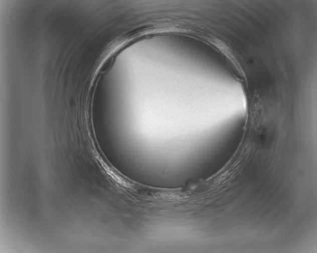 X0000052611197200507081838