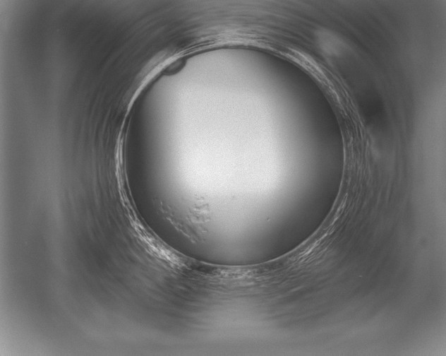 X0000052611198200507081838