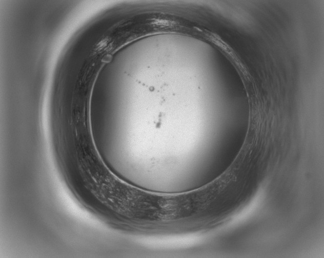 X0000052611199200507081838