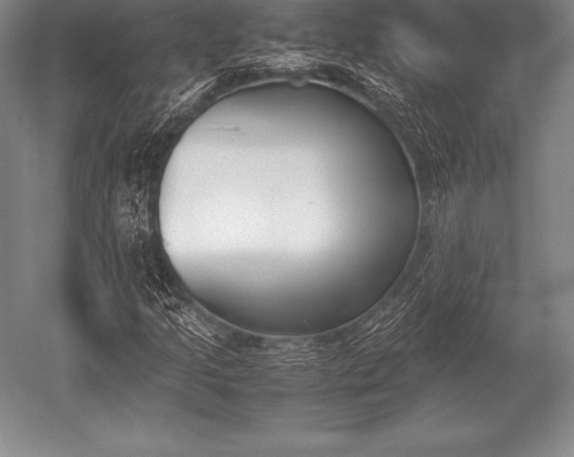 X0000052611205200507081837