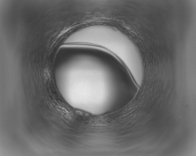 X0000052611206200507081837