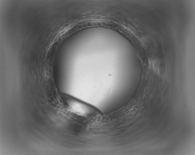 X0000052611207200507081837